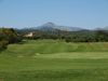 Santa Ponsa Golf Mallorca Green 6