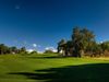 Silves Golf Portugal Algarve Fairway Green.jpeg