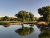Son Antem Golf Mallorca Hole 15 Vijver