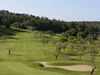 Son Muntaner Golf Mallorca Fairway Green