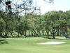 Sotogrande Golf Spanje Costa Del Sol Green Bunker.JPG