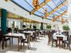The_olive_tree_rest