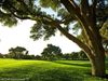 Valderrama Golf Spanje Costa Del Sol Boom Green Zon