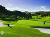 Vale Do Lobo Ocean Golf Portugal Algarve Hole 4 Royal