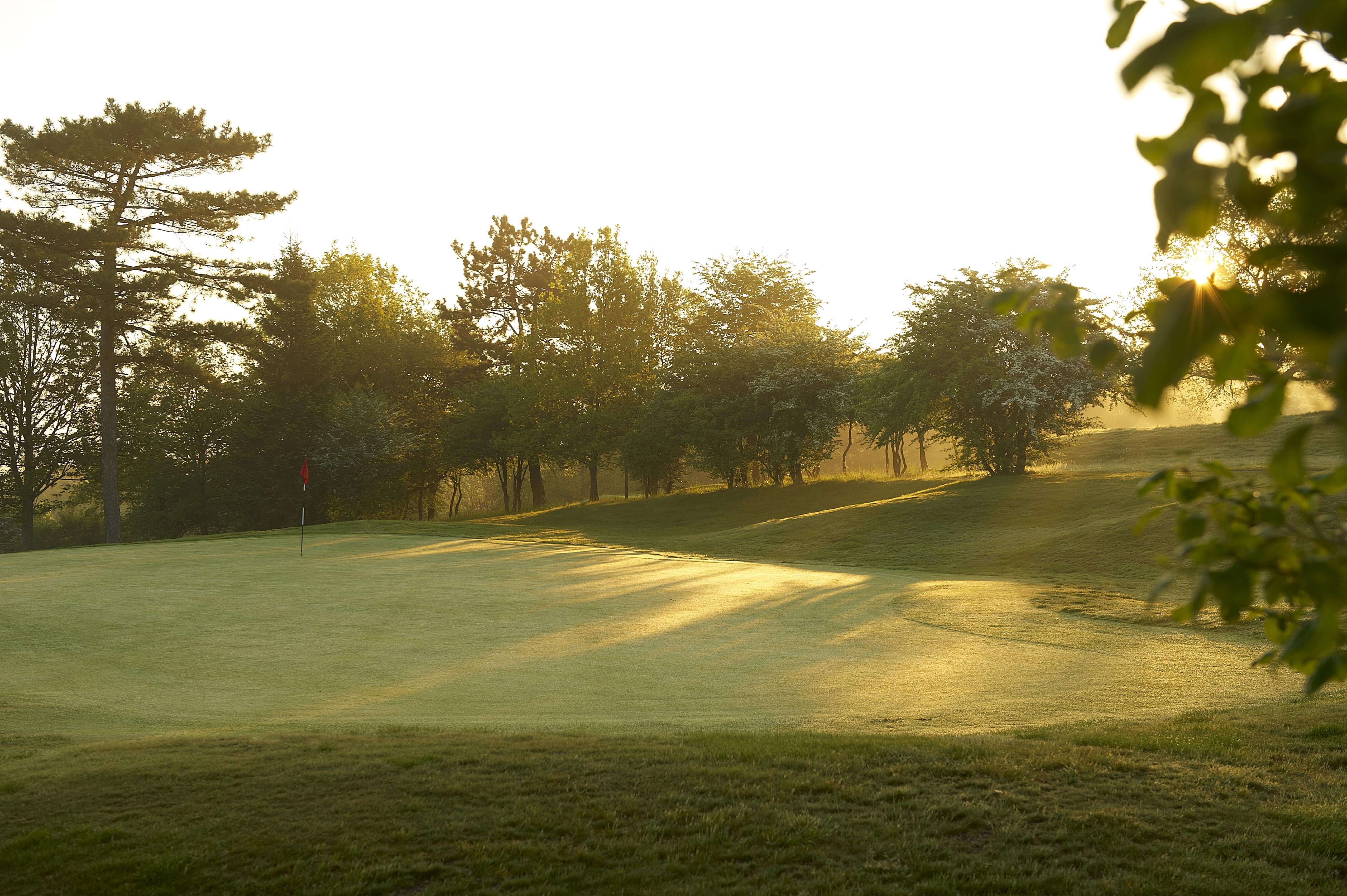 Nieuwsbrief Week 14 - FOREjaar Deals