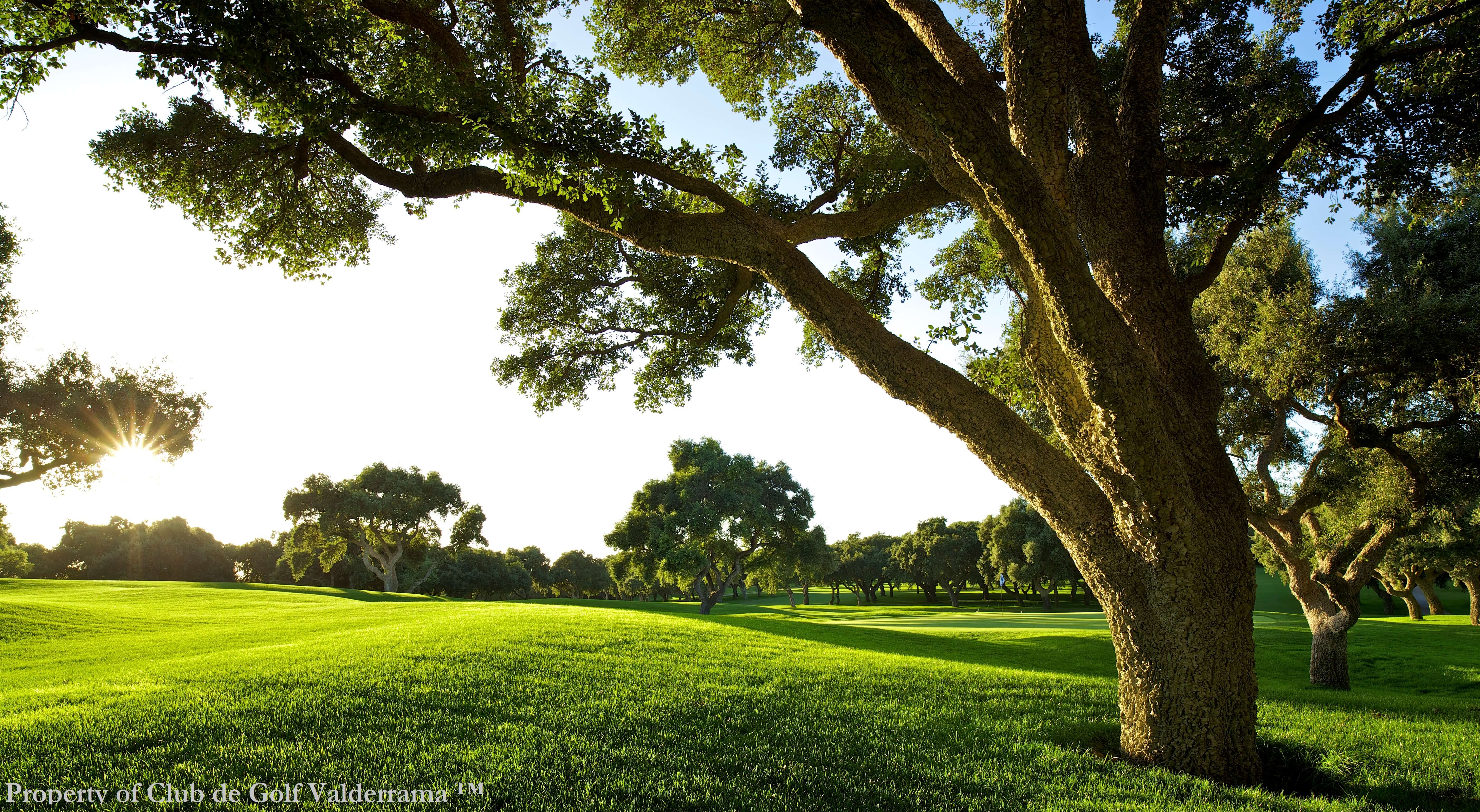 Studiereis Costa del Sol