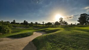 The Executive Course